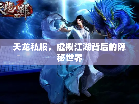 天龙私服，虚拟江湖背后的隐秘世界