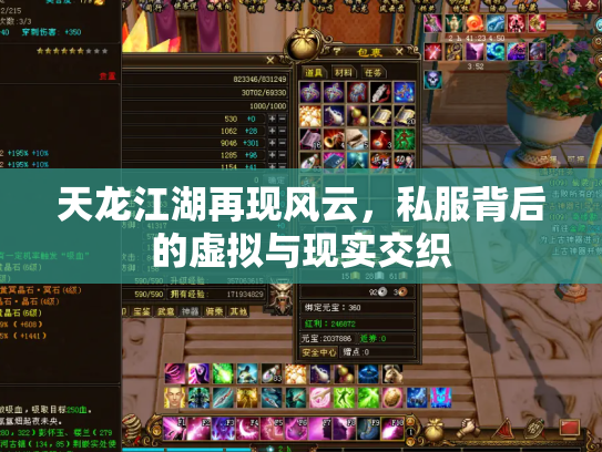 天龙江湖再现风云，私服背后的虚拟与现实交织