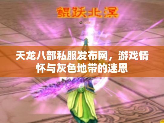 天龙八部私服发布网，游戏情怀与灰色地带的迷思
