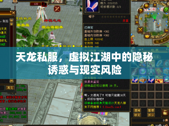 天龙私服，虚拟江湖中的隐秘诱惑与现实风险