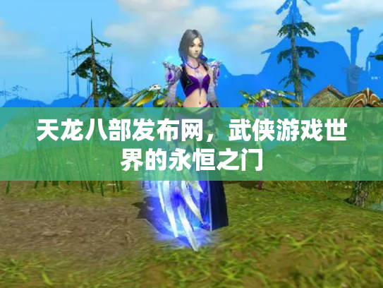 天龙八部发布网，武侠游戏世界的永恒之门
