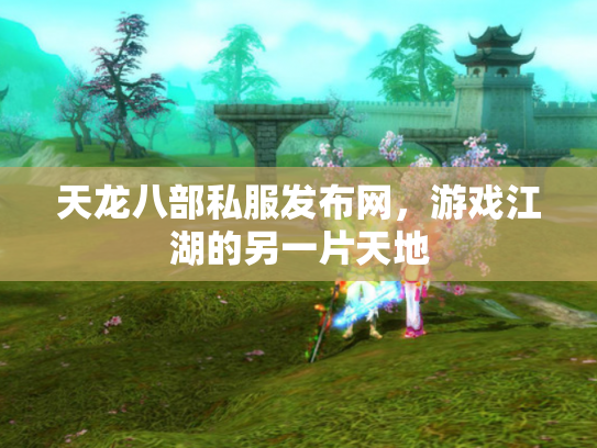 天龙八部私服发布网，游戏江湖的另一片天地