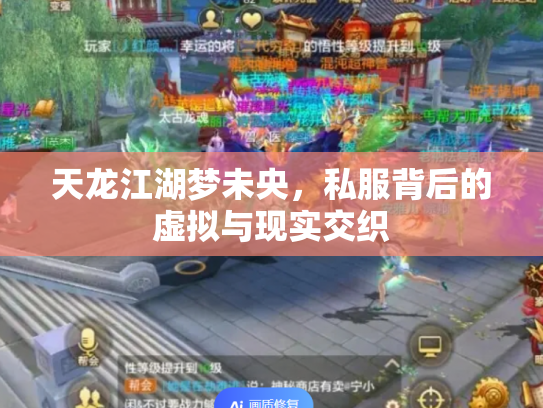 天龙江湖梦未央，私服背后的虚拟与现实交织