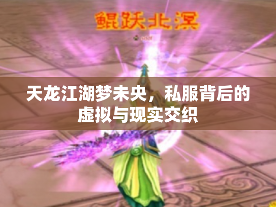 天龙江湖梦未央，私服背后的虚拟与现实交织