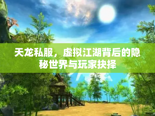 天龙私服，虚拟江湖背后的隐秘世界与玩家抉择