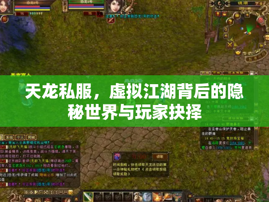 天龙私服，虚拟江湖背后的隐秘世界与玩家抉择