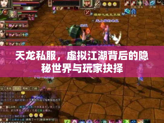 天龙私服，虚拟江湖背后的隐秘世界与玩家抉择