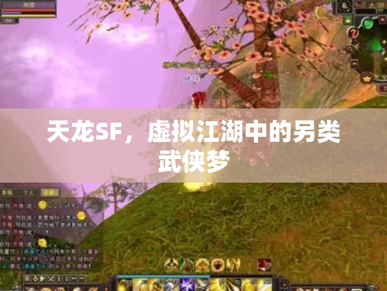 天龙SF，虚拟江湖中的另类武侠梦