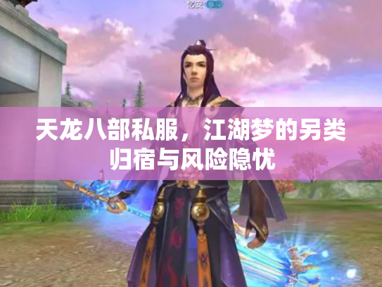 天龙八部私服，江湖梦的另类归宿与风险隐忧