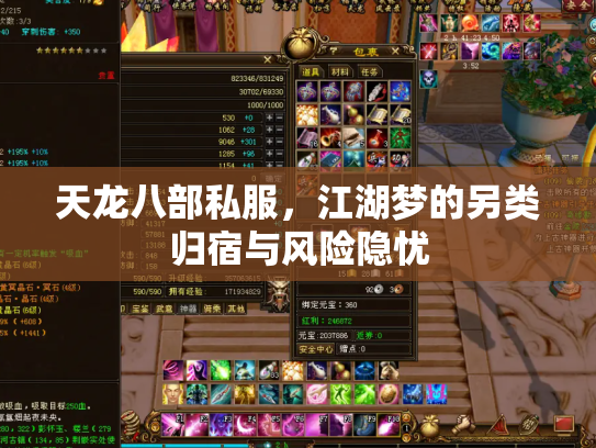 天龙八部私服，江湖梦的另类归宿与风险隐忧