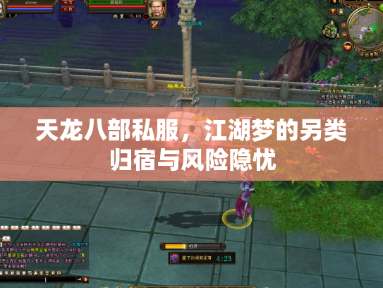 天龙八部私服，江湖梦的另类归宿与风险隐忧