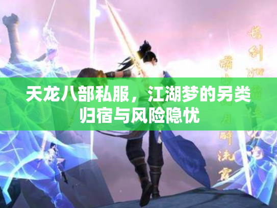 天龙八部私服，江湖梦的另类归宿与风险隐忧