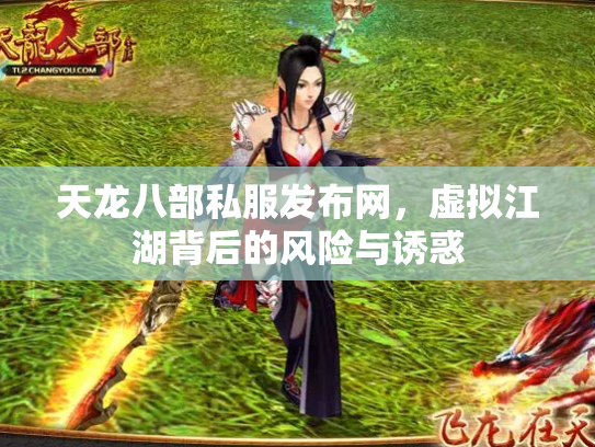 天龙八部私服发布网，虚拟江湖背后的风险与诱惑