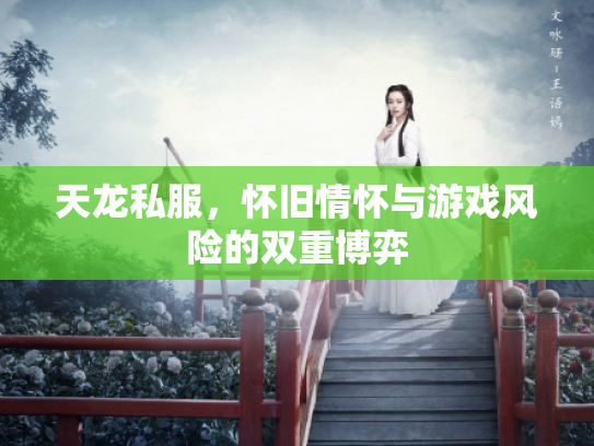 天龙私服，怀旧情怀与游戏风险的双重博弈