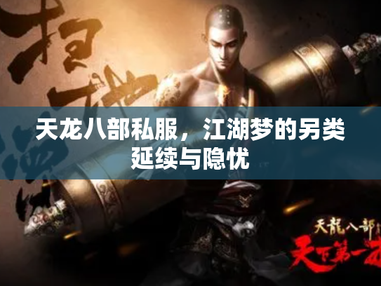天龙八部私服，江湖梦的另类延续与隐忧