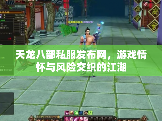 天龙八部私服发布网，游戏情怀与风险交织的江湖