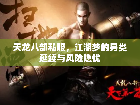 天龙八部私服，江湖梦的另类延续与风险隐忧