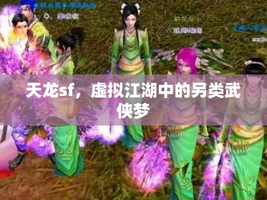 天龙sf，虚拟江湖中的另类武侠梦
