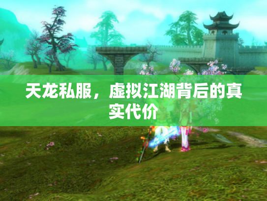 天龙私服，虚拟江湖背后的真实代价