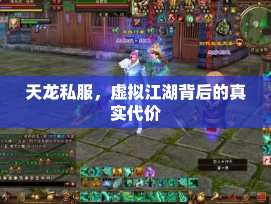 天龙私服，虚拟江湖背后的真实代价