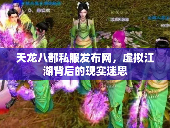 天龙八部私服发布网，虚拟江湖背后的现实迷思