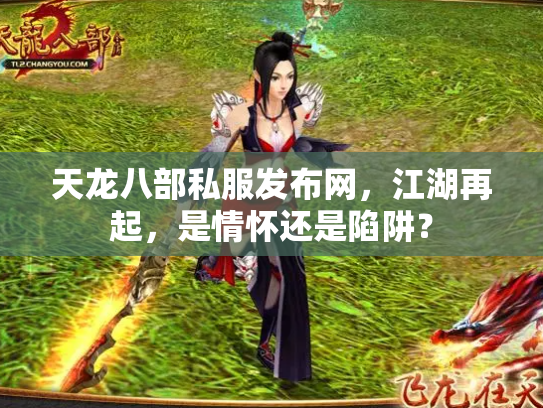 天龙八部私服发布网，江湖再起，是情怀还是陷阱？