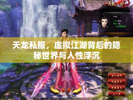 天龙私服，虚拟江湖背后的隐秘世界与人性浮沉