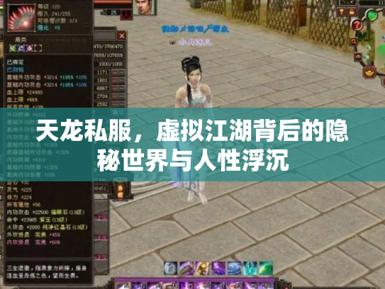 天龙私服，虚拟江湖背后的隐秘世界与人性浮沉