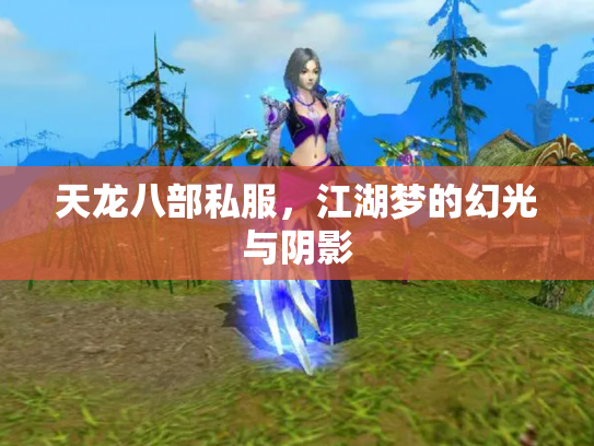 天龙八部私服，江湖梦的幻光与阴影