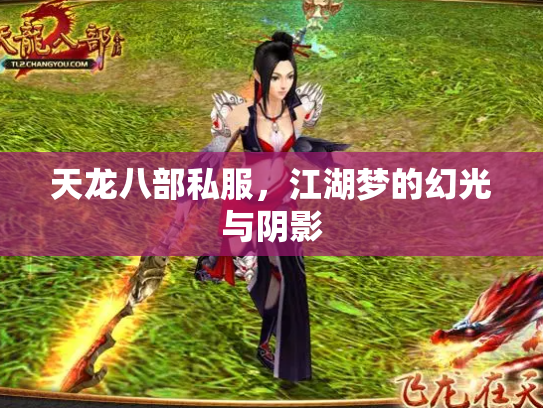 天龙八部私服，江湖梦的幻光与阴影