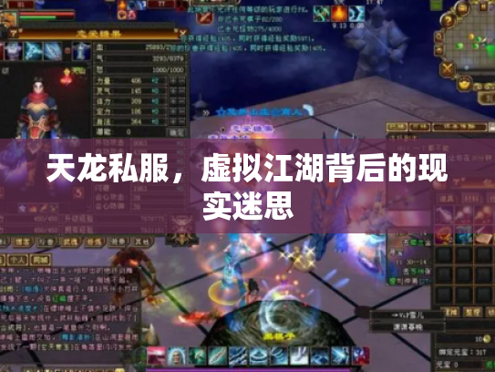 天龙私服，虚拟江湖背后的现实迷思