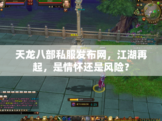 天龙八部私服发布网，江湖再起，是情怀还是风险？