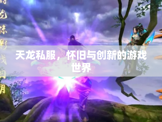 天龙私服，怀旧与创新的游戏世界