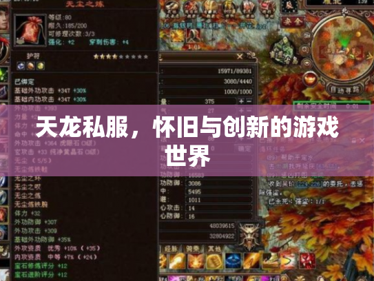 天龙私服，怀旧与创新的游戏世界