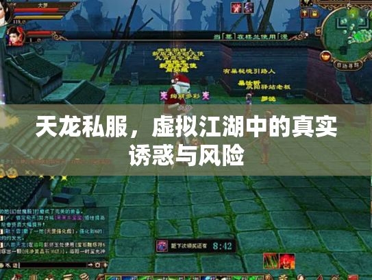 天龙私服，虚拟江湖中的真实诱惑与风险