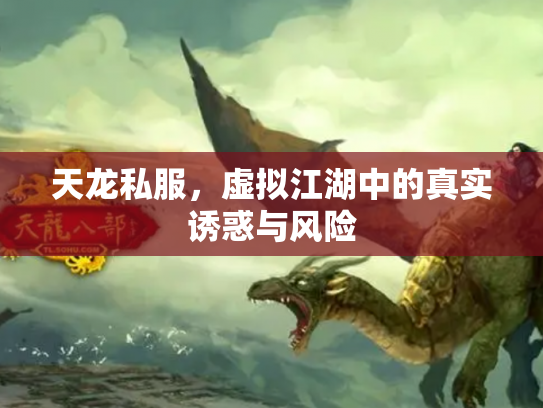 天龙私服，虚拟江湖中的真实诱惑与风险