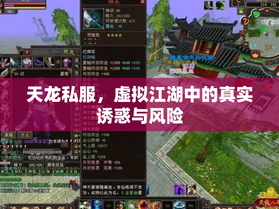 天龙私服，虚拟江湖中的真实诱惑与风险