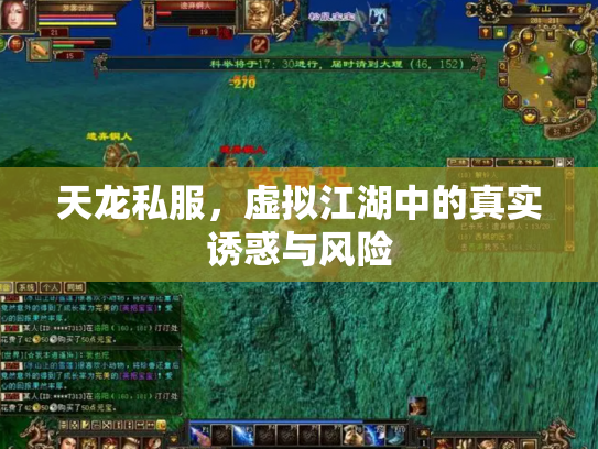 天龙私服，虚拟江湖中的真实诱惑与风险