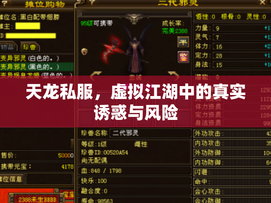天龙私服，虚拟江湖中的真实诱惑与风险