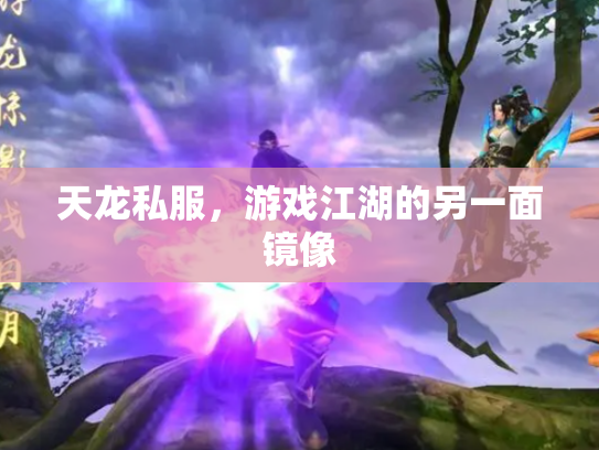 天龙私服，游戏江湖的另一面镜像