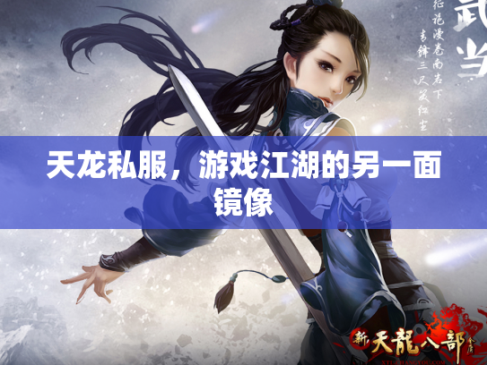 天龙私服，游戏江湖的另一面镜像
