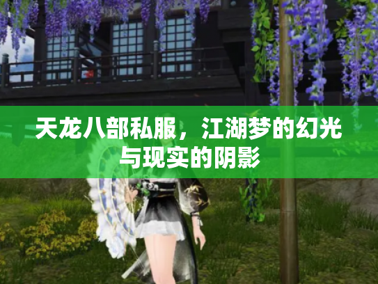天龙八部私服，江湖梦的幻光与现实的阴影