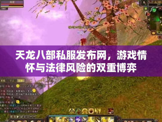 天龙八部私服发布网，游戏情怀与法律风险的双重博弈