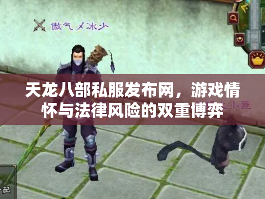 天龙八部私服发布网，游戏情怀与法律风险的双重博弈