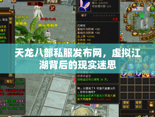 天龙八部私服发布网，虚拟江湖背后的现实迷思