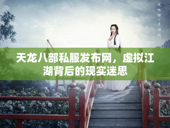 天龙八部私服发布网，虚拟江湖背后的现实迷思