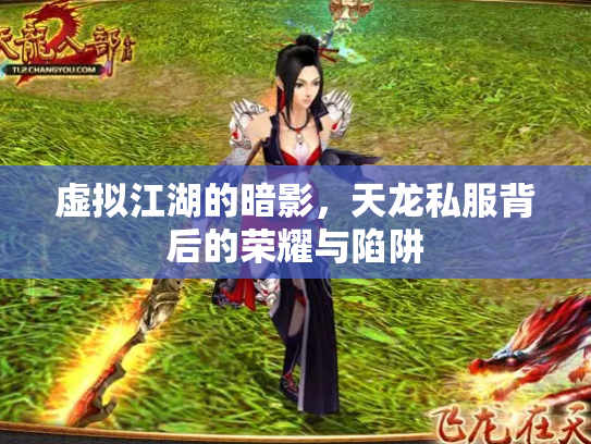 虚拟江湖的暗影，天龙私服背后的荣耀与陷阱