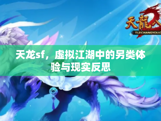 天龙sf，虚拟江湖中的另类体验与现实反思