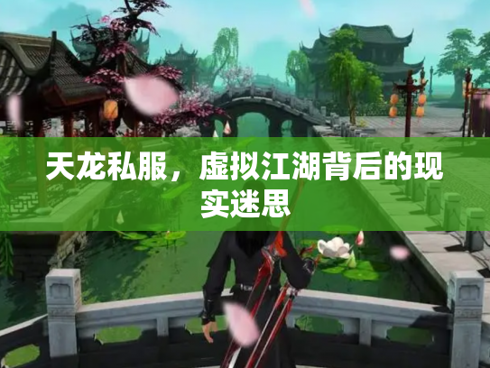 天龙私服，虚拟江湖背后的现实迷思
