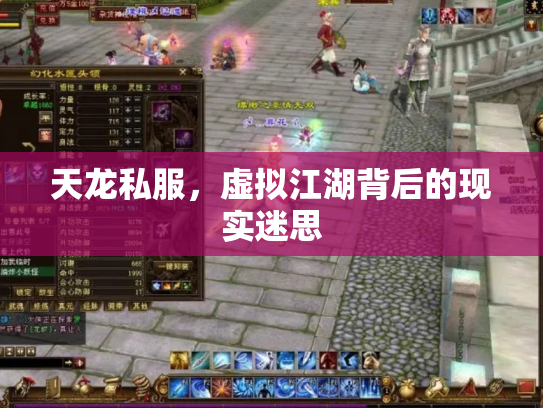 天龙私服，虚拟江湖背后的现实迷思